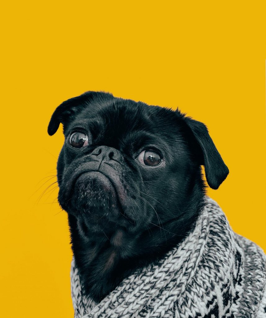 charles-547196-unsplash