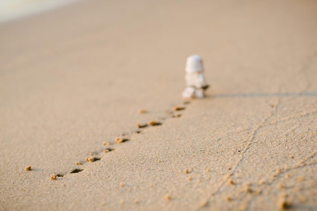 daniel-cheung-554578-unsplash
