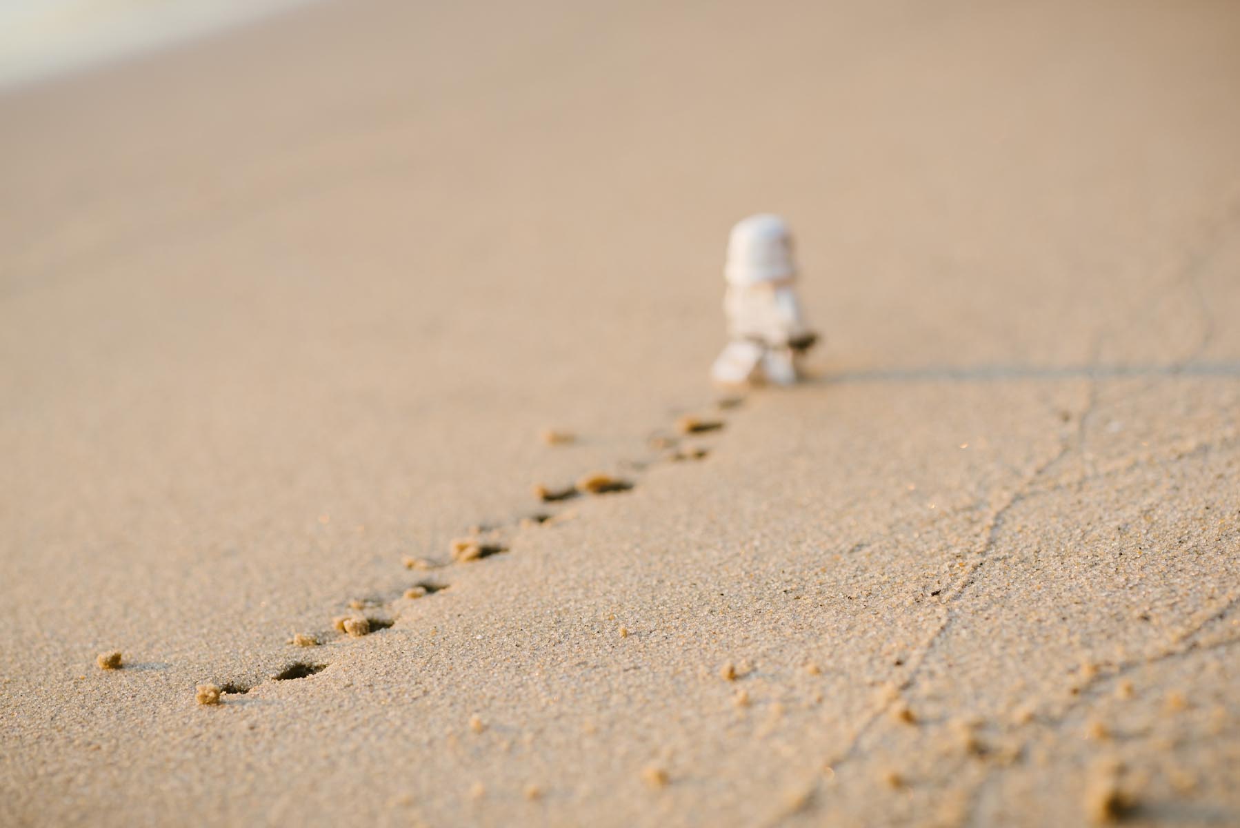 daniel-cheung-554578-unsplash