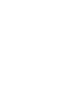 Ikon til web