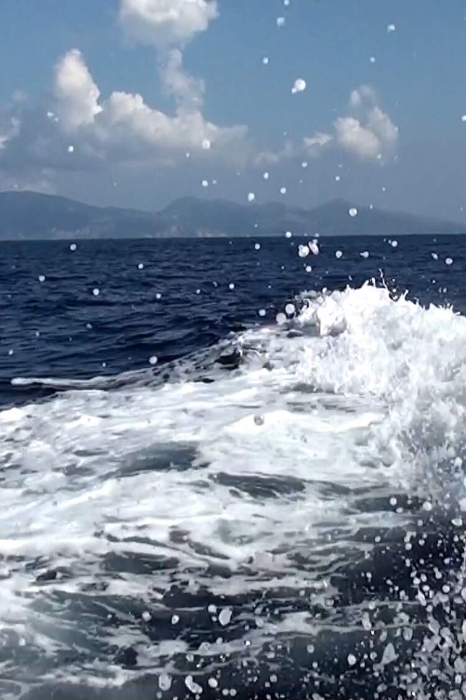 Svg+xml;charset=utf 8,%3Csvg Xmlns%3D'http%3A%2F%2Fwww.w3