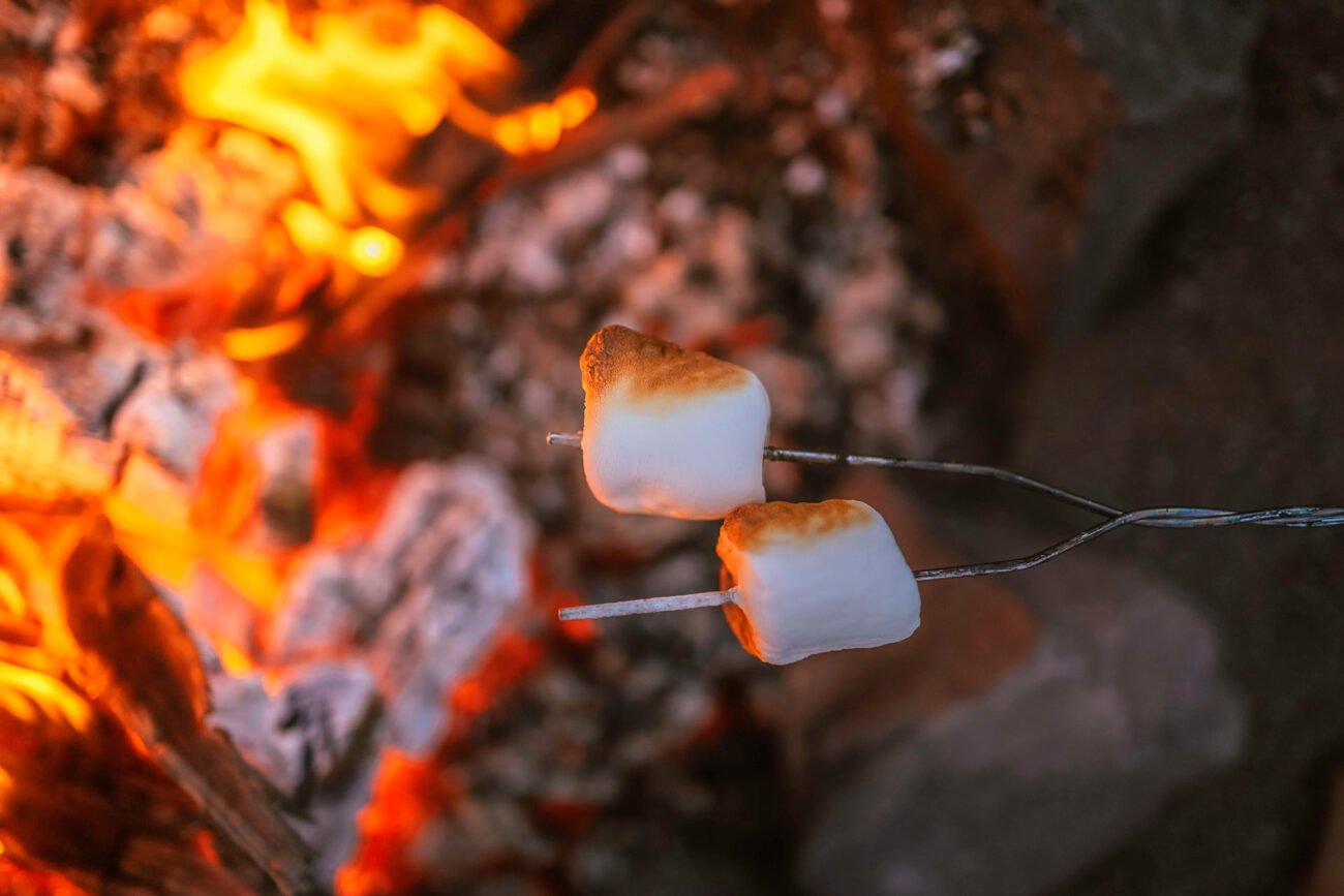 Sådan skaber vi trafik og leads.