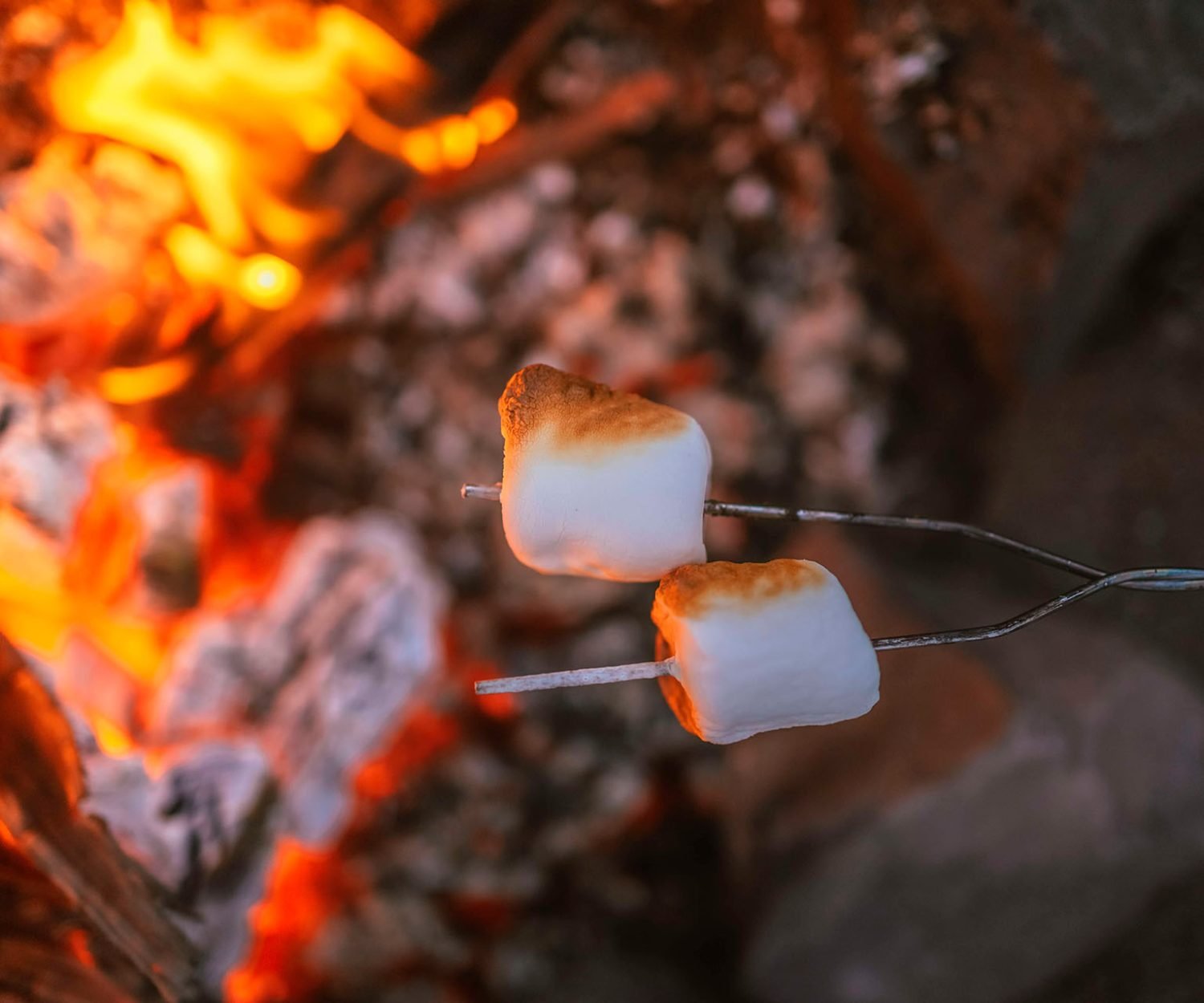 Sådan skaber vi trafik og leads.