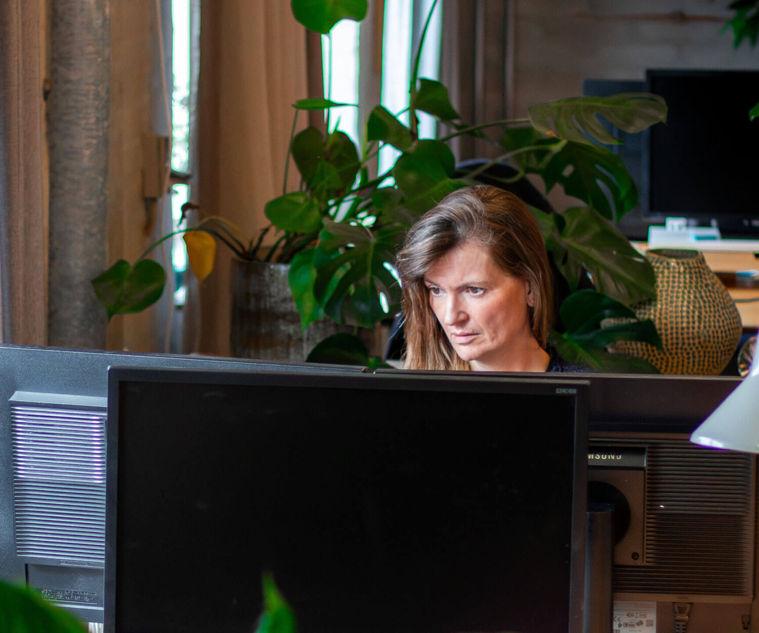 Svg+xml;charset=utf 8,%3Csvg Xmlns%3D'http%3A%2F%2Fwww.w3