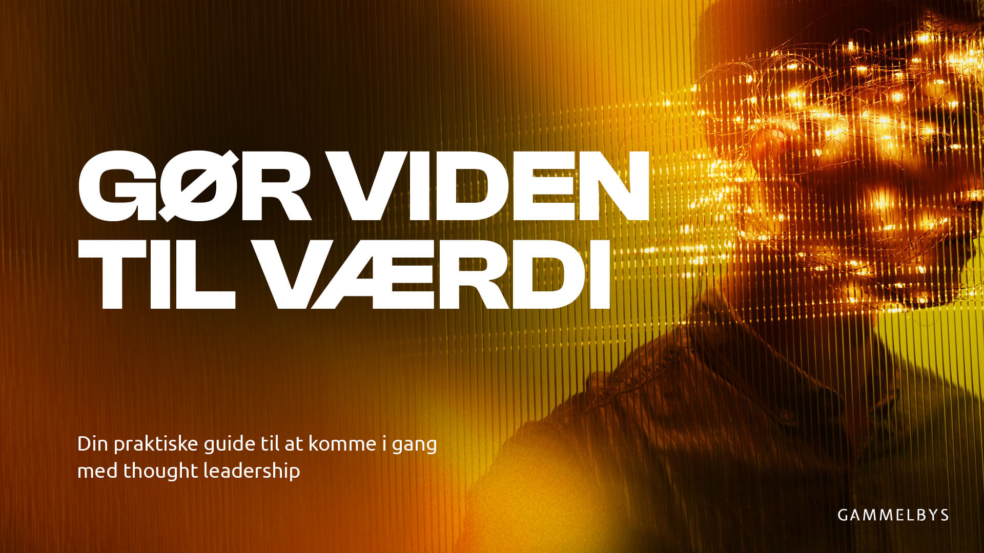 Gbys Marketing Downloadables Thought Leadership Goer Viden Til Vaerdi Thumbnail V1