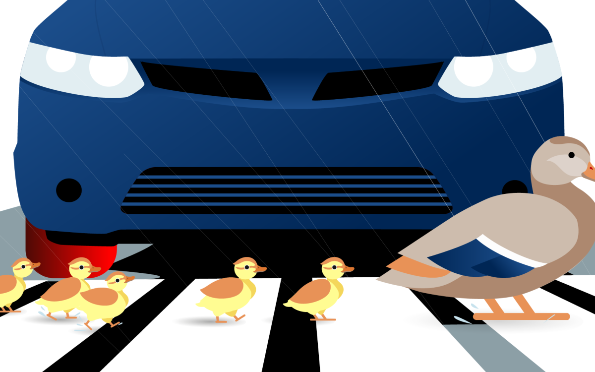 BS_Case_Video poster-duck in a row