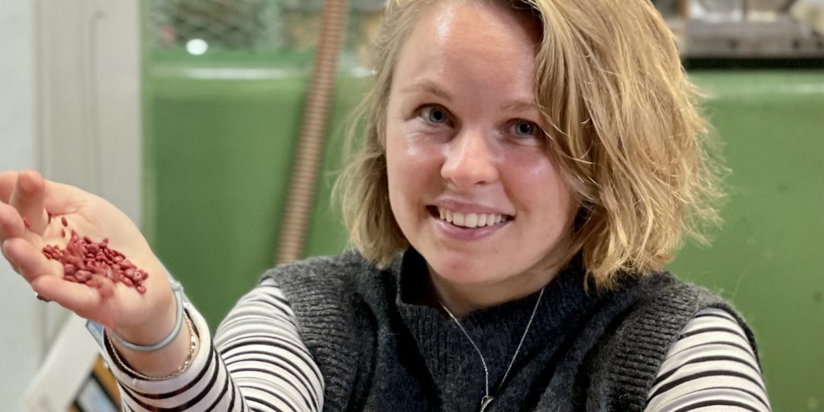 Gbys_blog_louise_letbek 02