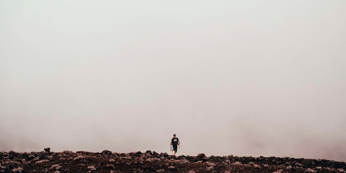 Virksomhedens identitet og værdier