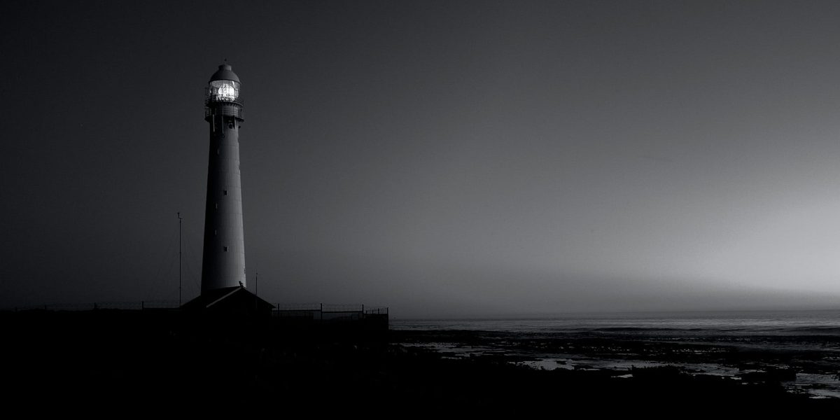 Hvad er et lead, og hvad kan du bruge det til?