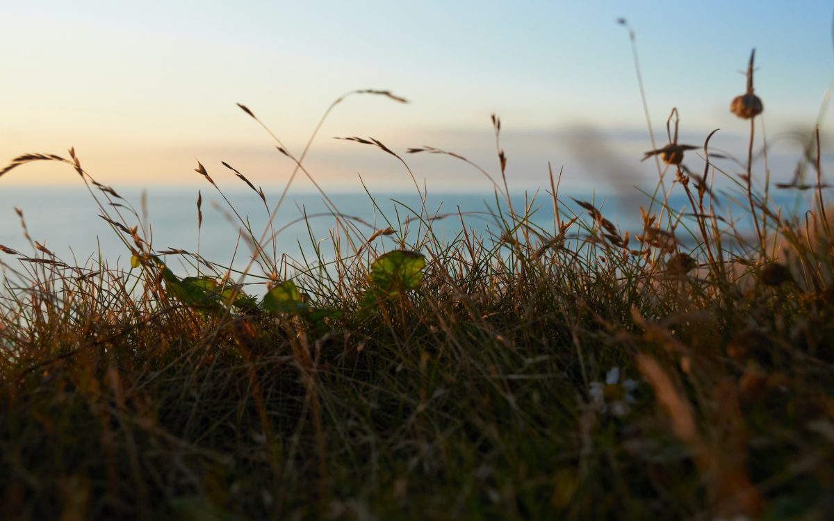 ihor-frolov-aPNcEjCCiMs-unsplash